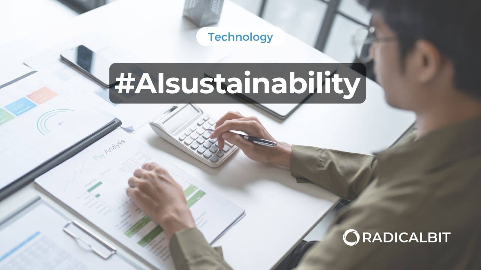AI Sustainability